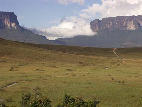 the trail
to roraima tepui in venezuela